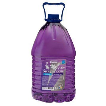 Омивач скла зимовий VITOL "-20" Лісова Ягода 4,5л VTW-2062 фото